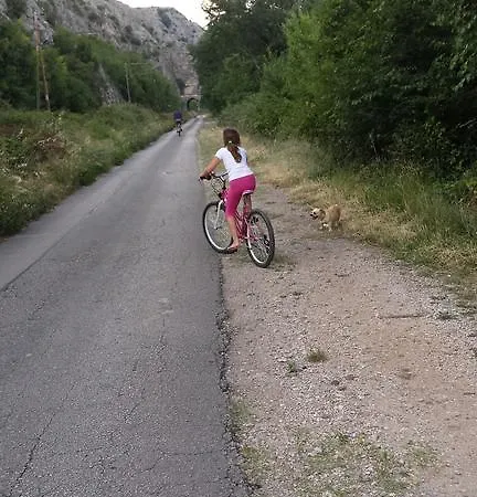 Hébergement de vacances Vacation Katarina *